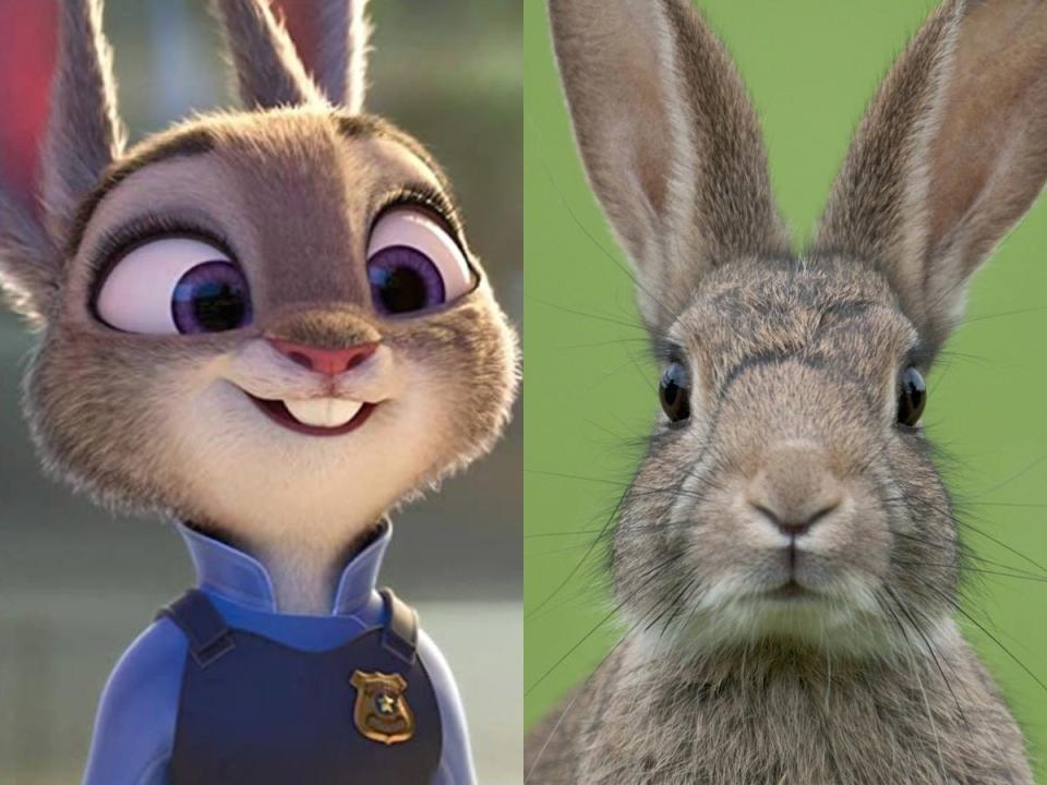 judy hopps side by side