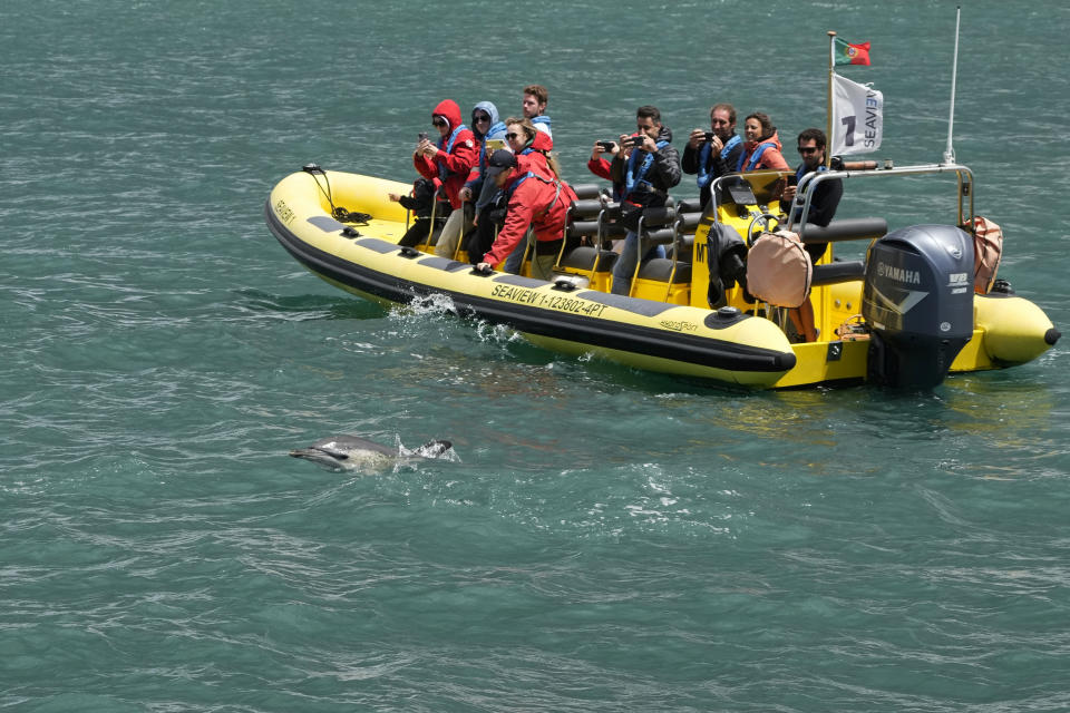 Tourists watch a dolphin calf swim near their boat at the mouth of the Tagus River in Lisbon, Friday, June 24, 2022. Starting Monday the United Nations is holding its five-day Oceans Conference in Lisbon hoping to bring fresh momentum for efforts to find an international agreement on protecting the world's oceans. (AP Photo/Armando Franca)