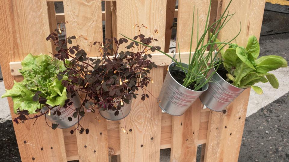 Wood slat planter wall