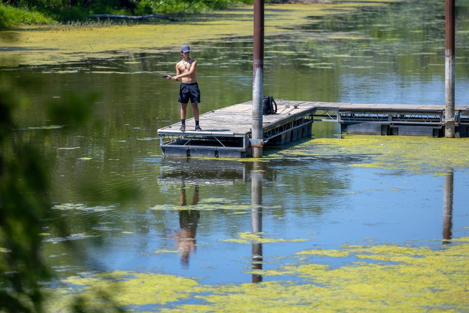 Weeds grow in an area that is making it difficult for boats to get through in Bay City.