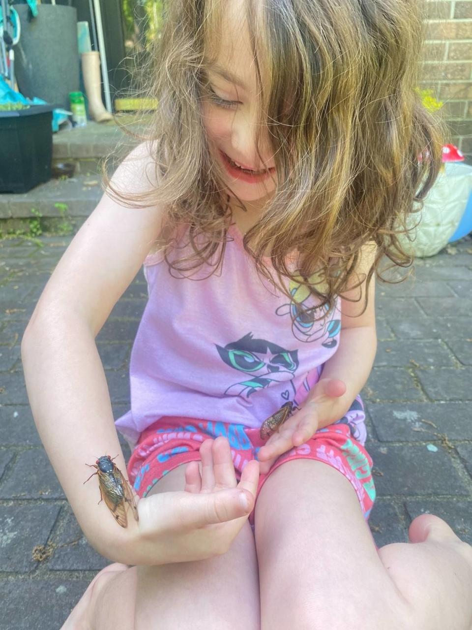 Ginny Wright, 5, of Lesslie says cicadas have cute wings, squishy bodies and don’t sting.