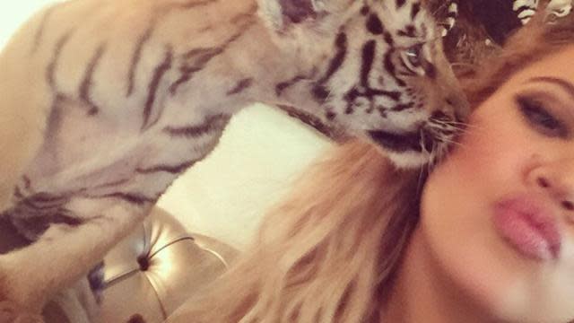 Khloe Kardashian just can't catch a break! After getting slammed for posting a pic of her wearing a niqab face covering during her trip to Dubai, Khloe also came under fire on Thursday when she posted a selfie of her cuddling with a tiger cub. <strong> PHOTOS: Stars Pose With Their Pets </strong> The image caused some uproar among those fighting for animal rights who felt the pic promoted the captivity of wild creatures. "We're disappointed to see yet another celebrity posing with a wild animal," Silia Smith of World Animal Protection told <em>Daily Mail</em>. "Tiger cubs belong in the wild, with their mothers -- not in captivity for use as entertainment or photo props." Khloe posed for pics with an array of animals, including snaps with a stingray and an orangutan, but it was the cub photo that seemed to anger activists the most. "Not slamming Khloe at all. I love her and her ethics. I hate the practice of animal exploitation and tourism," one commenter said of the image. "This is just disgusting," another Instagram user wrote. "And I was so disappointed to see you wearing fur in the last [ <em>Keeping Up with the Kardashians</em>] episode. I knew it was all marketing that your were 'against it' but still sad about it." <strong> WATCH: New <em>Keeping Up With The Kardashians</em> Preview Shows Terrifying Car Crash Footage </strong> "I thought you were against it? All for a photo op?" another comments reads. "Disgusting... You should be ashamed!!!" Meanwhile, Khloe's estranged husband Lamar Odom sent out his first tweet in nearly a year on Thursday. Sharing some artwork of himself on Instagram, the M.I.A. basketball pro wrote: "Appreciate the love." <strong> How do you feel about Khloe posing with a tiger cub? </strong> <em>For more on the 30-year-old reality star's other selfie controversy, check out this video:</em>