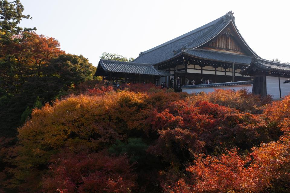 Der Tofuku-ji Tempel in Kyoto gehört zu en bekanntesten Gebäuden der Kamakura Ära. (Bild: Stanislav Kogiku/SOPA Images/LightRocket via Getty Images)