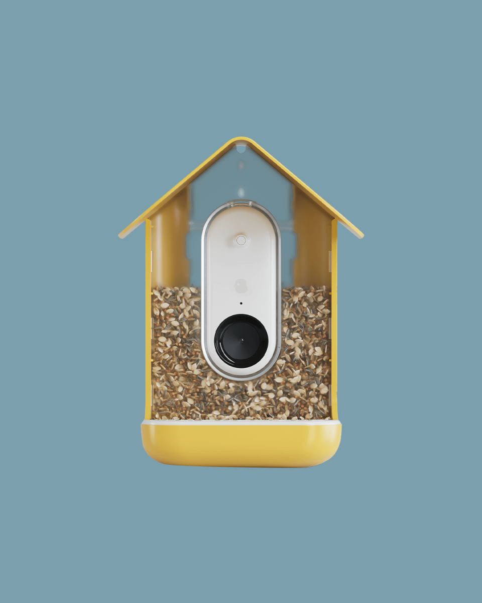 <p><a href="https://mybirdbuddy.com/product/smart-bird-feeder-with-solar-roof/" rel="nofollow noopener" target="_blank" data-ylk="slk:Shop Now;elm:context_link;itc:0;sec:content-canvas" class="link ">Shop Now</a></p><p>Smart Bird Feeder with Solar Roof</p><p>mybirdbuddy.com</p><p>$209.00</p>