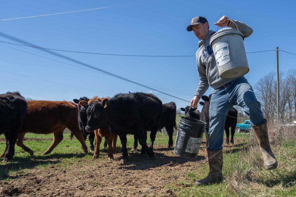 Joseph Fischer steps in with the cows to feed them on Sunday, March 17, 2024 at his family’s farm in Henry County. Fischer is at least a fourth-generation cattle farmer.