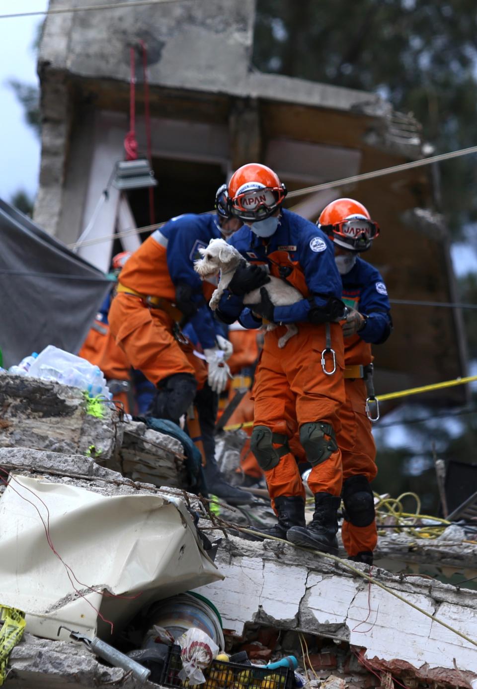 ¿Por qué enamoró a México el equipo japonés de rescate?