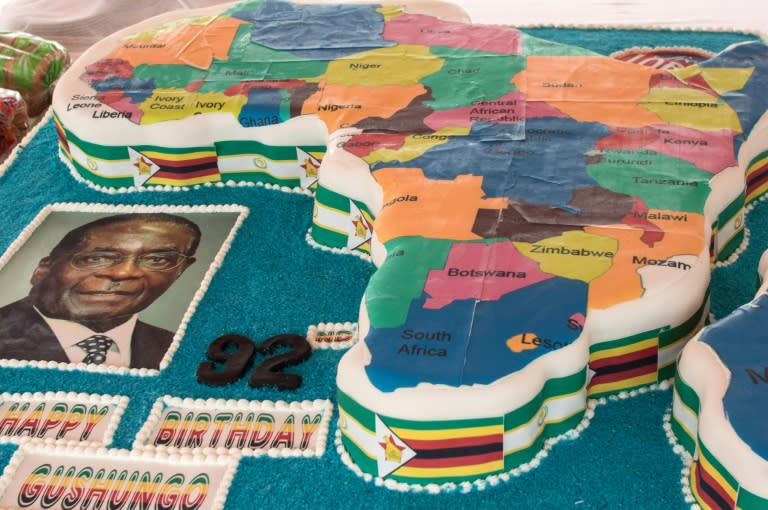 Mugabe's birthday cake in 2016 was in the shape of a map of Africa