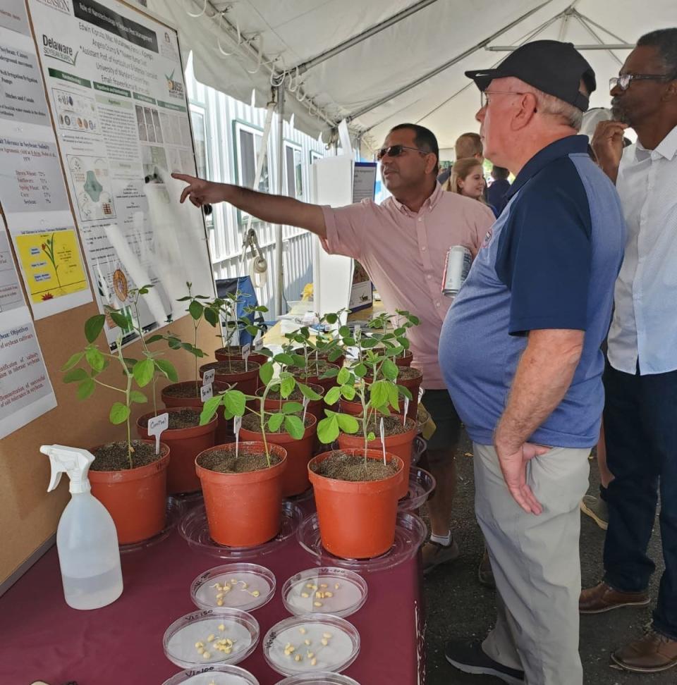 Dr. Naveen Kumar Dixit, associate professor of Horticulture and Extension Specialist at the University of Maryland Eastern Shore explains how some soybeans are more resistant to saltwater incursion.