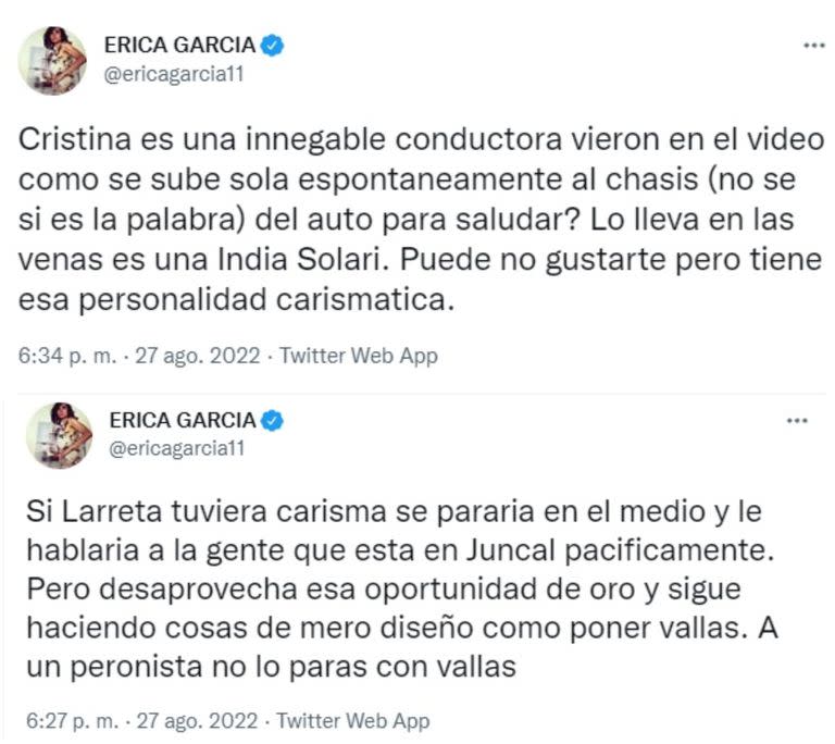 Érica García Los tuits de los famosos en medio de los incidentes en Recoleta (Foto: Captura de Twitter)