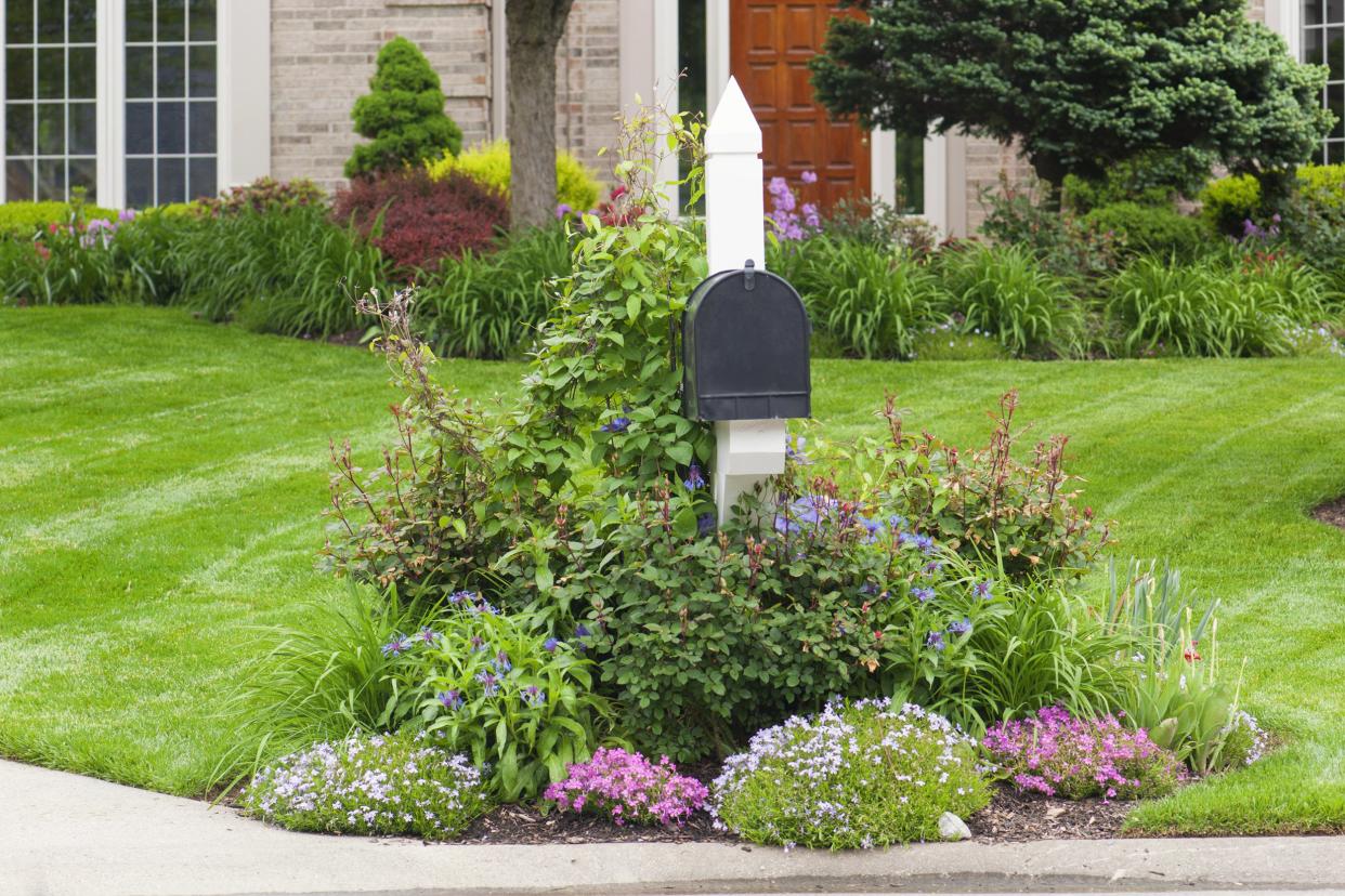 flower bed around mailbox in American suburb