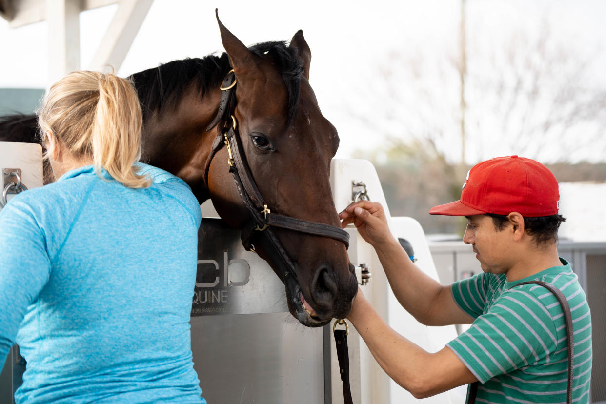 Palmer Pedigo, owner of EquiZone Hydrotherapy, and Whit Beckman's assistant exercise rider Morelio Garcia set up Honor Marie for an Epsom salts bath with 35-degree water after a workout April 17 at Churchill Downs.