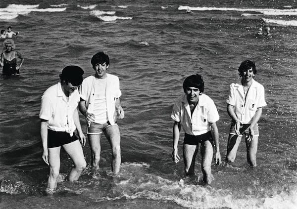 The Water Beatles