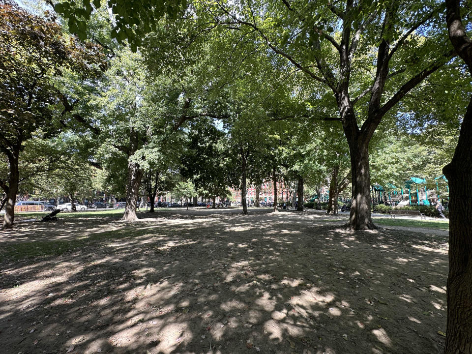 <p>A photo from the iPhone 14 Pro's wide camera featuring trees in a park.</p>
