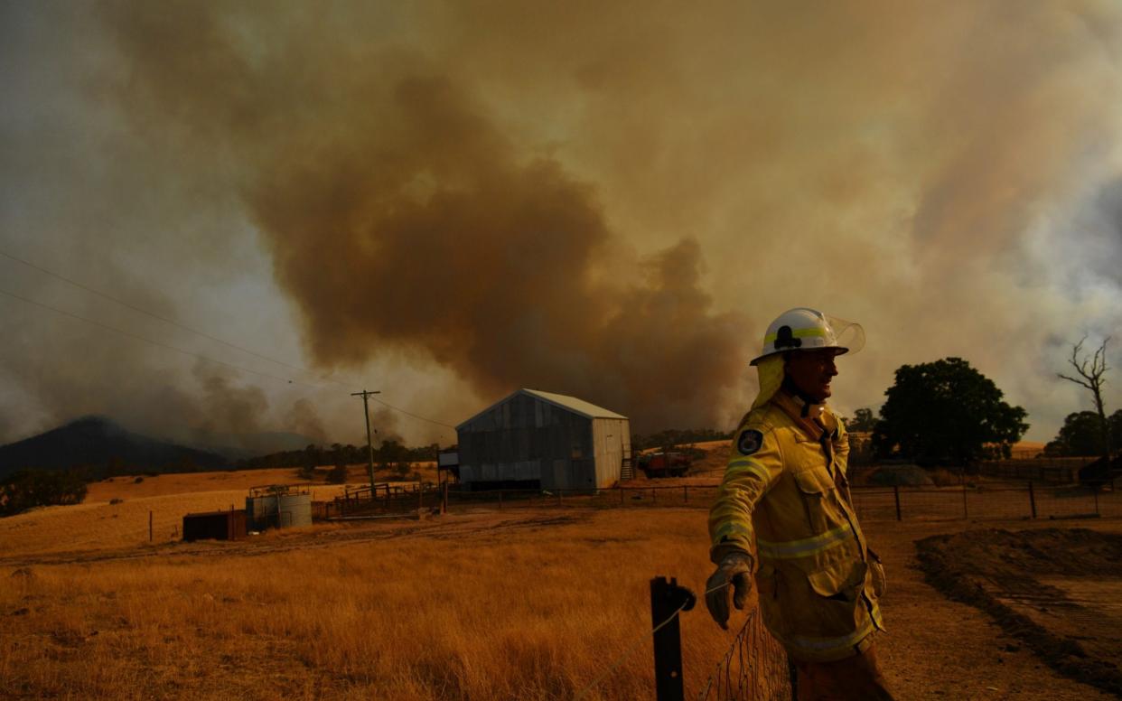 The Bureau of Meteorology in Australia also recently confirmed that 2019 was the warmest and driest year on record for the country - Getty Images AsiaPac