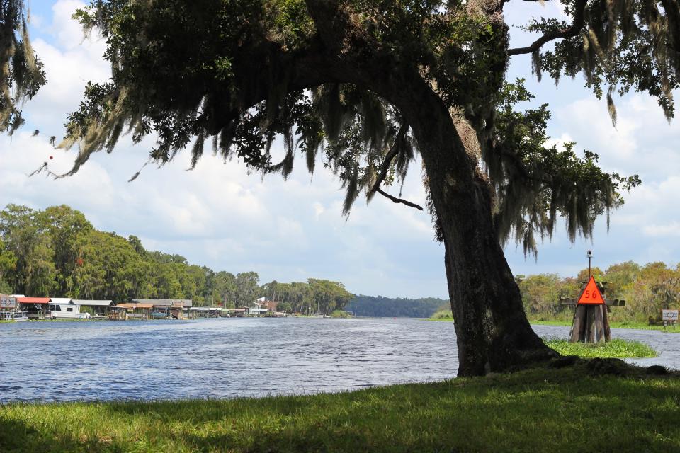 Hontoon Island is a natural freshwater island that is surrounded by the St. Johns River, Hontoon Dead River and Snake Creek. Pictured is the St. Johns River, facing the nearby Lake Beresford, from Hontoon Island State Park in West DeLand.
