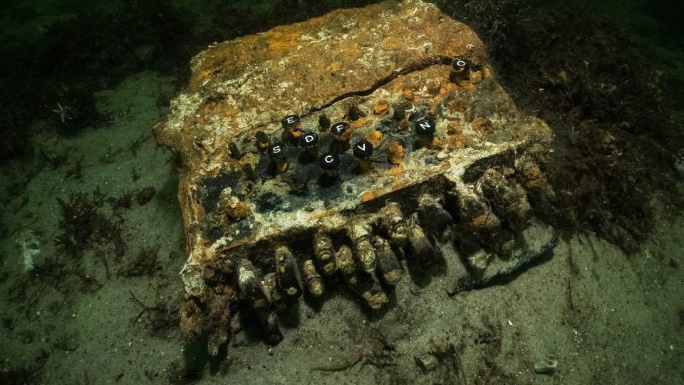 Die von dem Unterwasserarchäologen und Taucher Florian Huber auf dem Grund der Ostsee fotografierte Enigma-Chiffriermaschine aus dem 2. Weltkrieg.