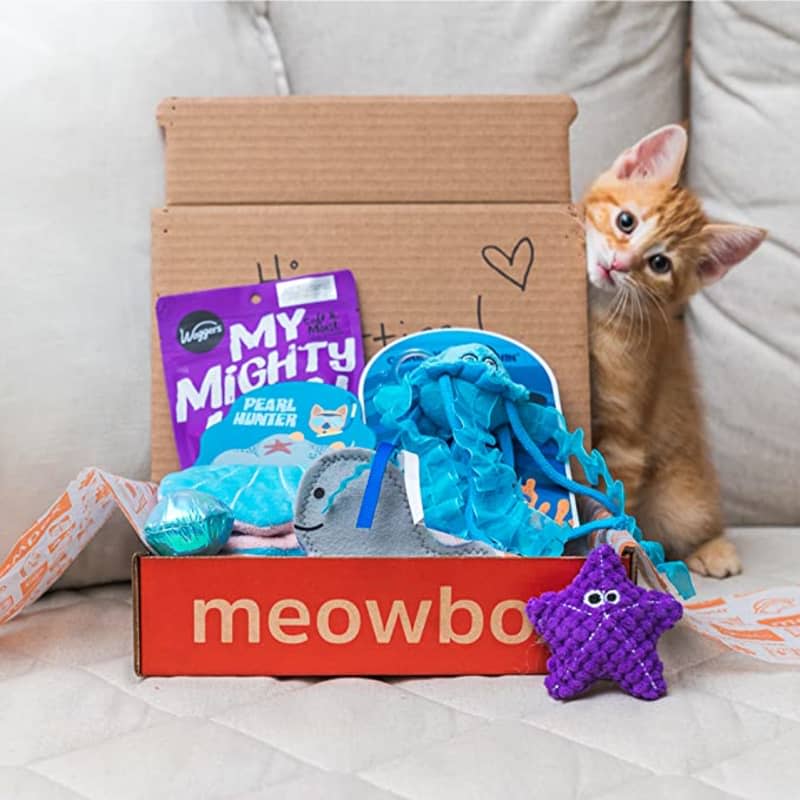 Meowbox Subscription — 3 Months (3 boxes)