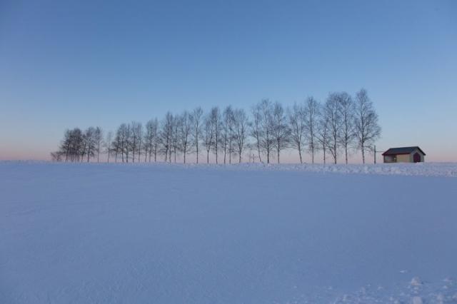 北海道vs九州 哪裡較好玩 全場一面倒 多元且景色美