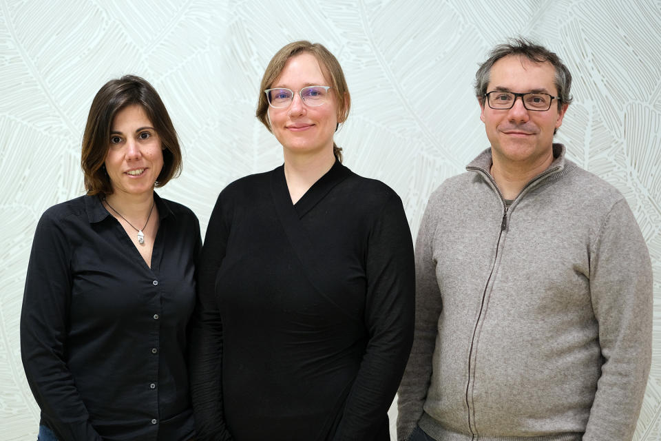 The L-Acoustics Education Team.