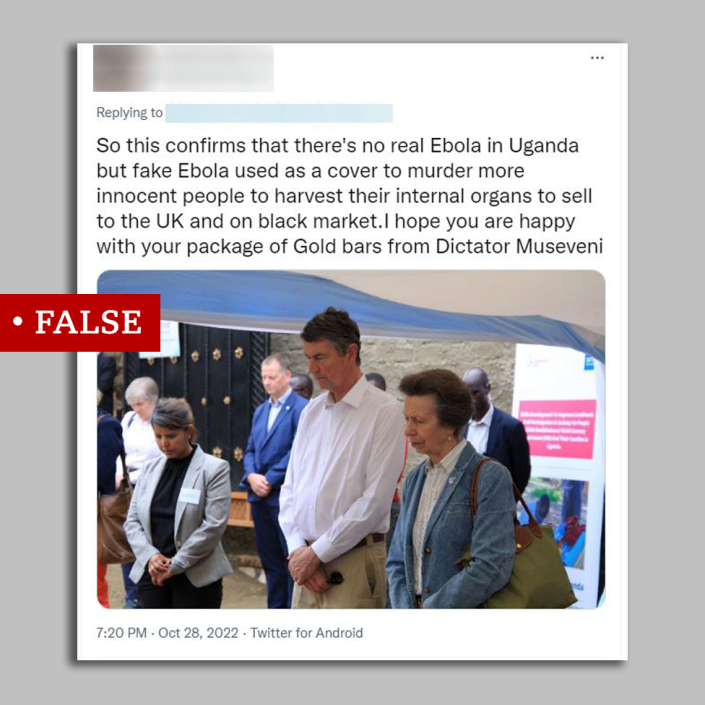 Screengrab of Princess Anne visited labelled &quot;false&quot;