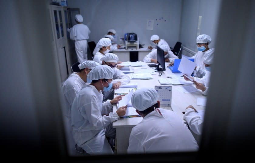 TOPSHOT - Researchers work in a lab at the Yisheng Biopharma company in Shenyang, in Chinas northeast Liaoning province on June 10, 2020. - The company is one of a number in China trying to develop a vaccine for the COVID-19 coronavirus. (Photo by NOEL CELIS / AFP) (Photo by NOEL CELIS/AFP via Getty Images)