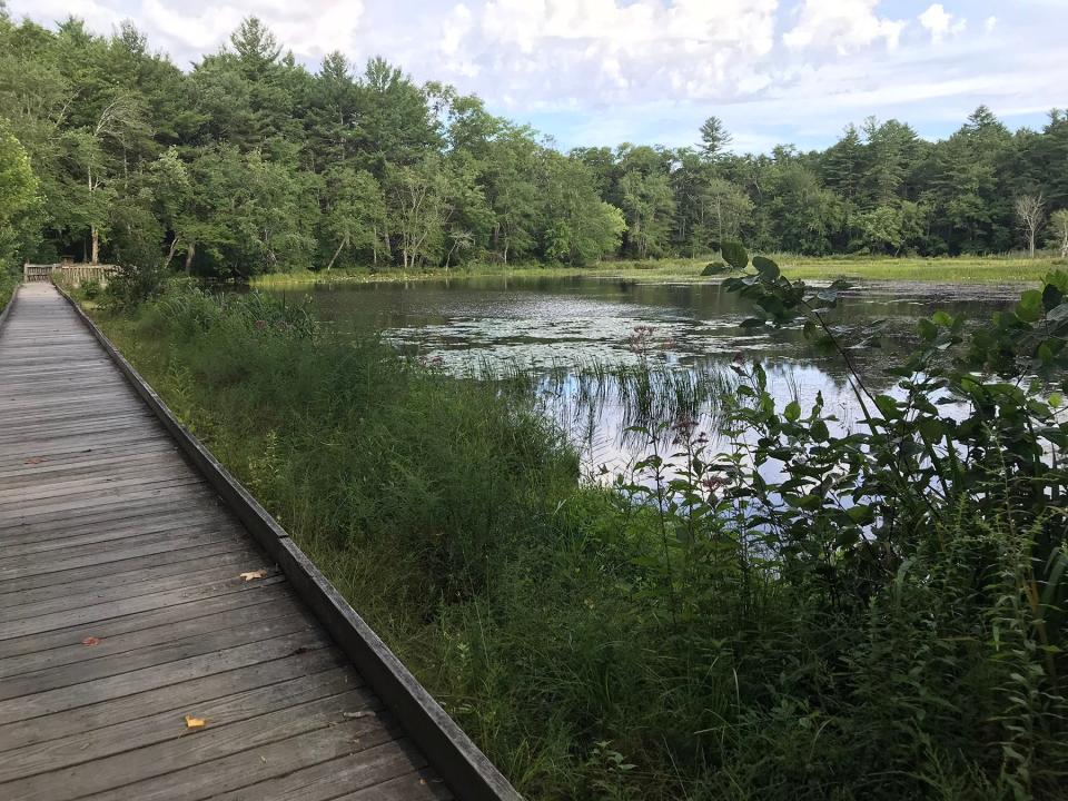 A boardwalk runs along the western edge of tranquil Upper Roaring Brook Pond in the Arcadia Management Area.