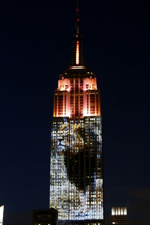 An image of Cecil the lion, whose killing has sparked international outrage, was prime among animals whose pictures covered 33 floors of the southern face of one of the world's most famous landmarks in an eight-minute video loop