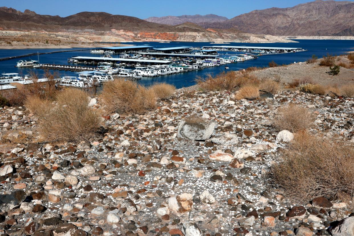 Boats are moored at the Callville Bay Marina in Nevada between an area covered with quagga mussel shells that was once underwater and mineral-stained rocks on June 21, 2021.