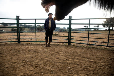 Fernando Noailles, emotional therapist, and his patient Loreto Garcia (not pictured) attend an emotional therapy session with a horse named Madrid in Guadalix de la Sierra, outside Madrid, Spain, December 9, 2017. REUTERS/Juan Medina