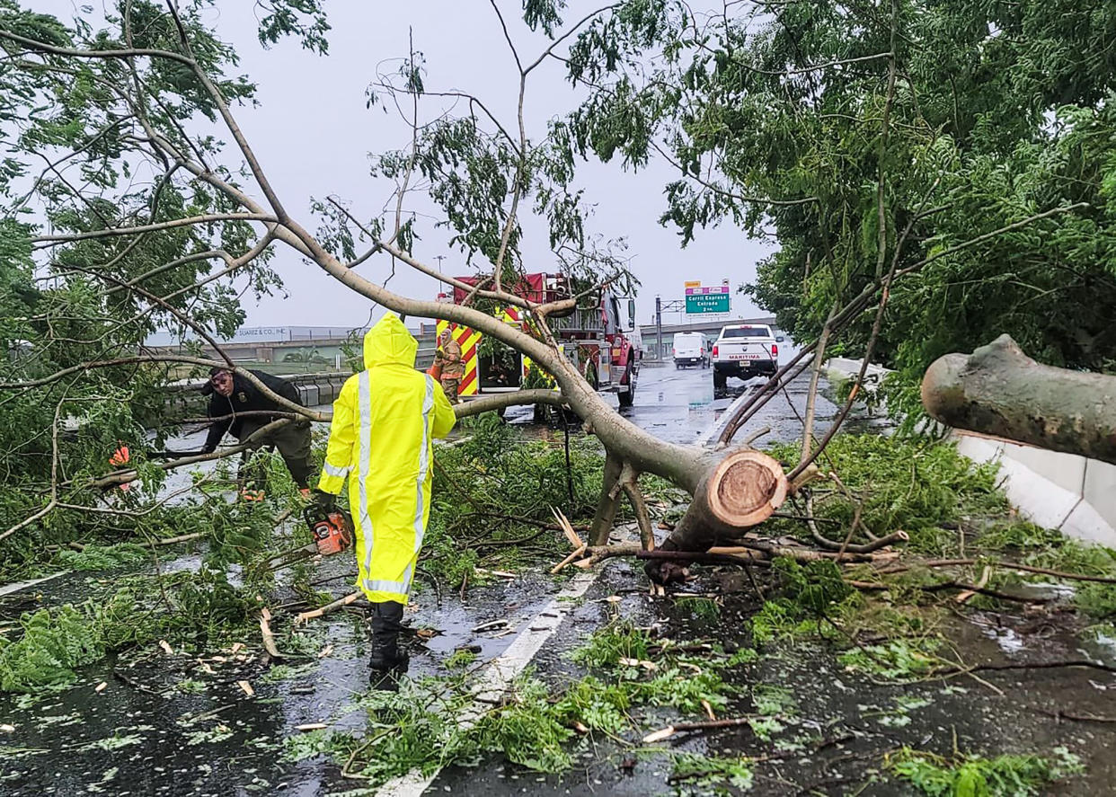 Firefighters work to remove a fallen tree from the road in Vega Baja, Puerto Rico, on Sept. 18, 2022. (Fire Dept. Bureau of Puerto Rico via AFP - Getty Images)