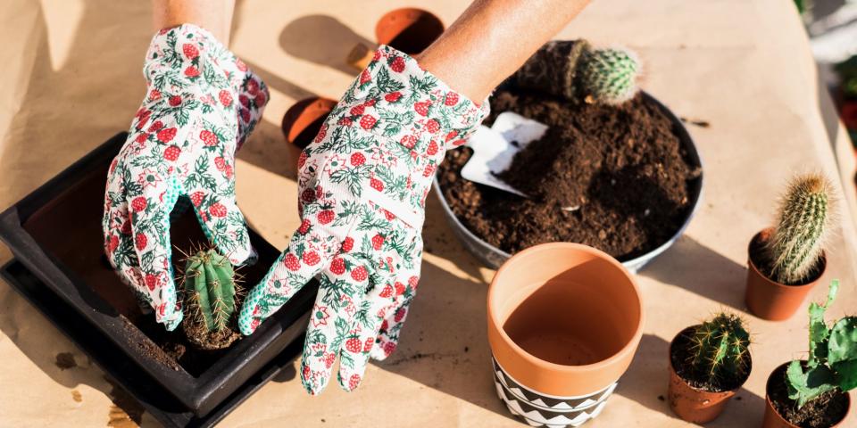 9 Best Gardening Gloves That Protect Green Thumbs