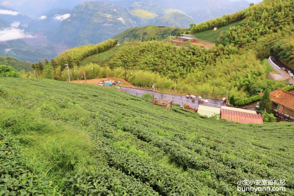 嘉義二尖山步道