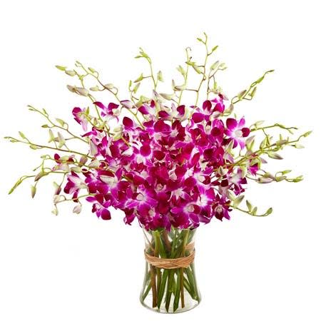 <p><a href="https://go.redirectingat.com?id=74968X1596630&url=https%3A%2F%2Fwww.sendflowers.com%2Fproduct%2Forchid-opulence.htm%3Frefcode%3DG124%26gclid%3DCjwKCAiAh9qdBhAOEiwAvxIok93HgC2_J-4WhcaMZ0plHO_KEb3rsAgPES6ROh1f1Cih2AbTs5nklRoCuO0QAvD_BwE&sref=https%3A%2F%2Fwww.thepioneerwoman.com%2Fholidays-celebrations%2Fgifts%2Fg42406008%2Fvalentines-day-flowers%2F" rel="nofollow noopener" target="_blank" data-ylk="slk:Shop Now;elm:context_link;itc:0;sec:content-canvas" class="link ">Shop Now</a></p><p>Send Flowers Pink Orchids Bouquet</p><p>sendflowers.com</p><p>$67.99</p><span class="copyright">Send Flowers</span>