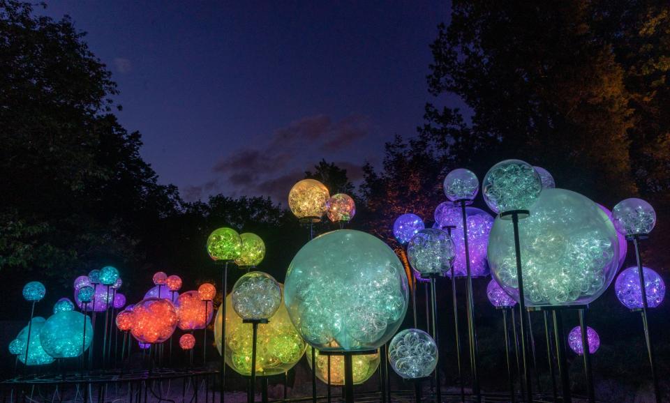 British artist Bruce Munro's Whizz Pops is part of the Cheekwood LIGHT display that runs through October.