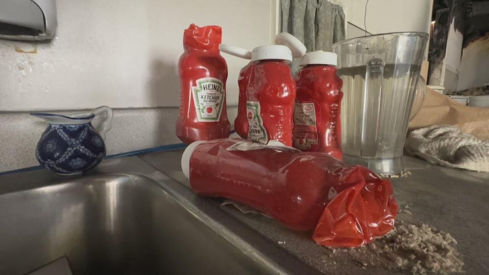 Owner AJ Reid said the heat from the fire was extraodinary and caused many items such as ketchup bottles and heat pumps to melt. 