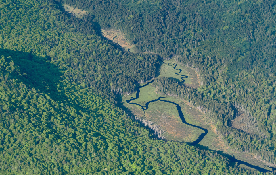 The headwaters of Boreas River peak out of the forest surrounding Marcy Swamp. Taken from an airplane.