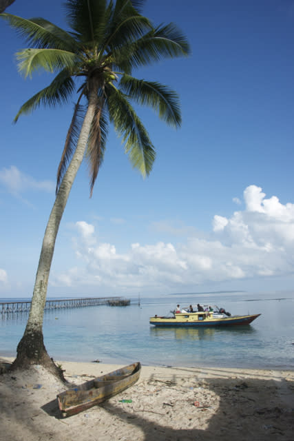 Turtle riding in Derawan Islands, East Kalimantan