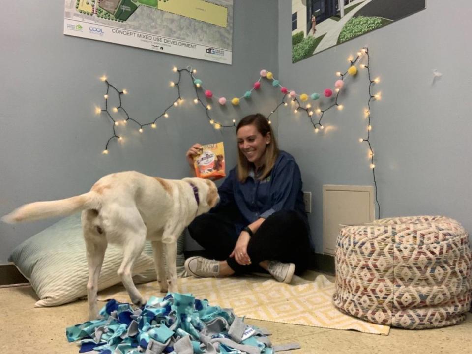 You can listen to staff from the Humane Society of Charlotte read to shelter dogs.