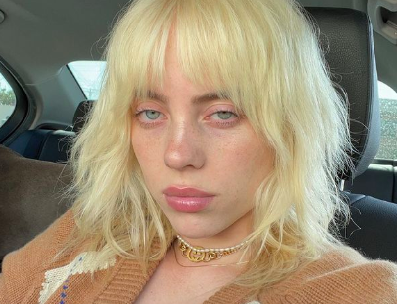 Fans slam Billie Eilish's 'tone-deaf ' selfie following racial slur apology