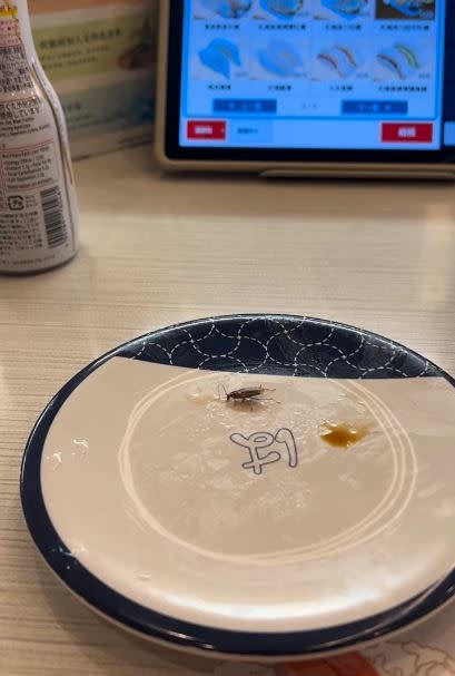 蟑螂在陳光軒的盤子上舔醬汁。（圖／翻攝自陳光軒臉書）