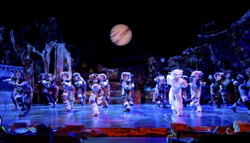 The popular Andrew Lloyd Webber musical was called off due to changes in the touring schedule. — Picture from Cats the Musical official tour website