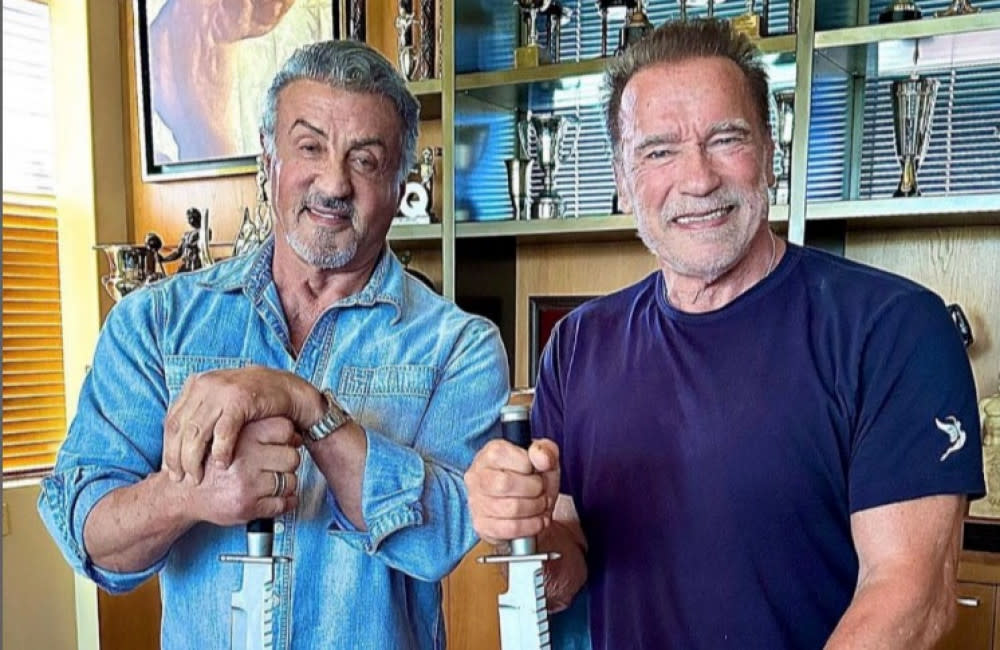 Arnold Schwarzenegger and Sylvester Stallone used to be sworn enemies but now they are firm friends credit:Bang Showbiz