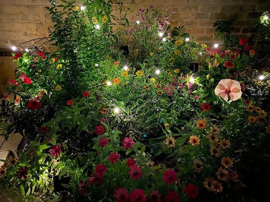 A two-pack of solar-powered garden lights