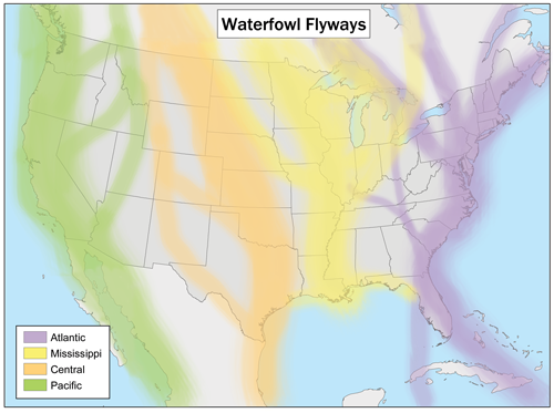 Approximately two billion birds, or one in three birds migrating through the US, fly through the Lone Star State in the spring.