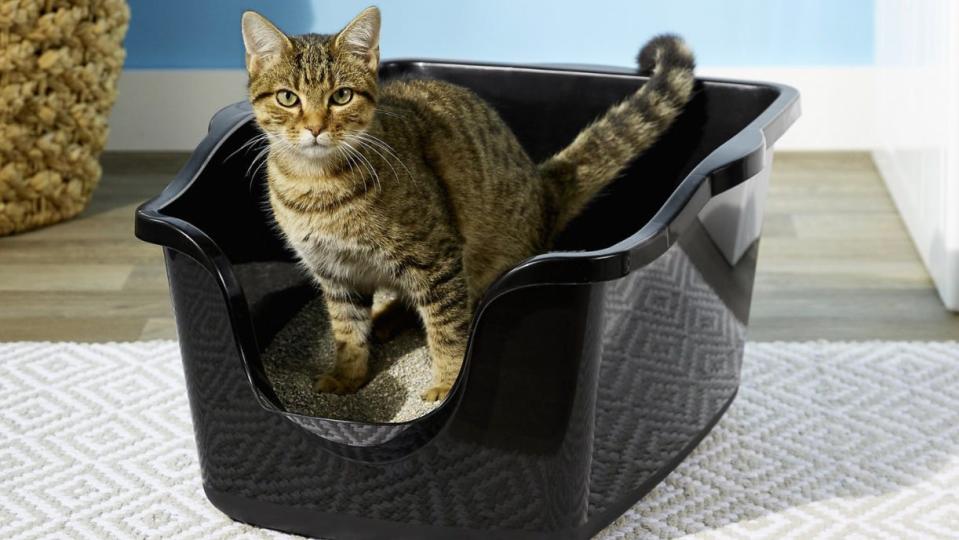 This high-sided litter box is great for cats that struggle with traditional litter boxes.