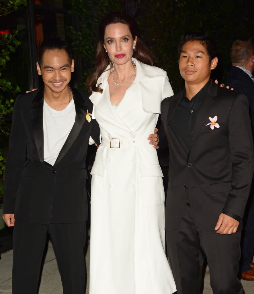 Picture of Angelina Jolie Kids