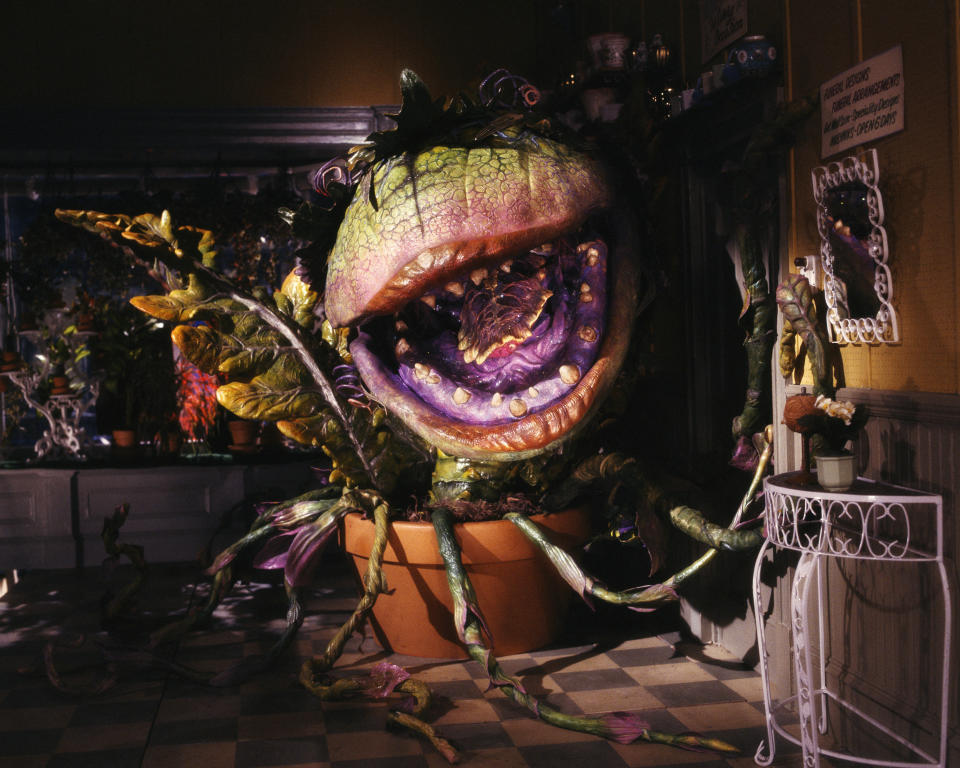 Audrey II Plant From the Film Little Shop of Horrors (Photo by Murray Close/Sygma/Sygma via Getty Images)