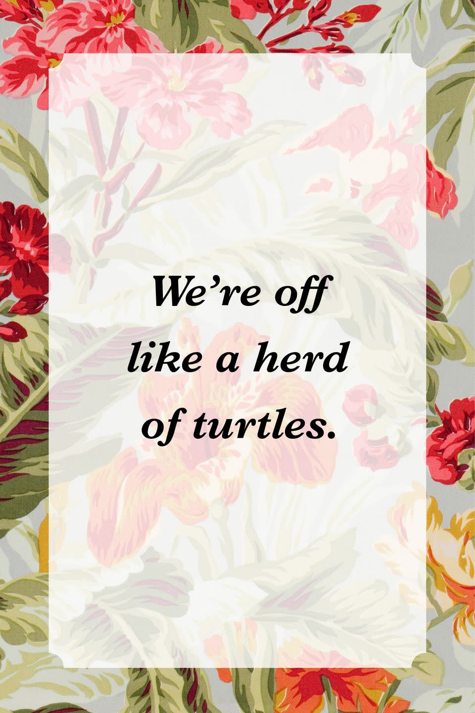 <p>"We're off like a herd of turtles."</p>