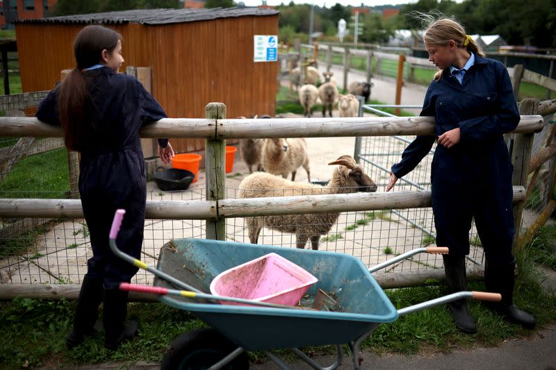 The Wider Image: Urban school farm opens world of opportunity to British teens