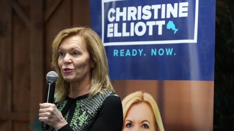 Ontario PC leadership hopeful Christine Elliott finds support during Windsor-Essex visit